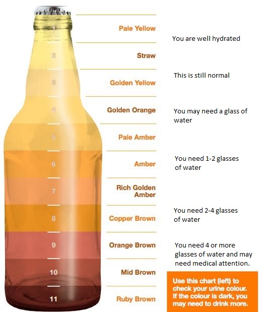 Urine Color And Clarity Chart